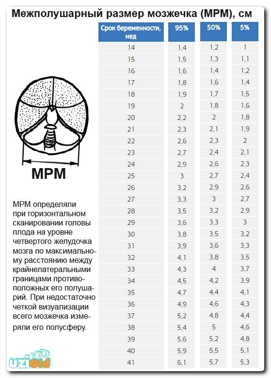 что такое мрм на узи при беременности таблица