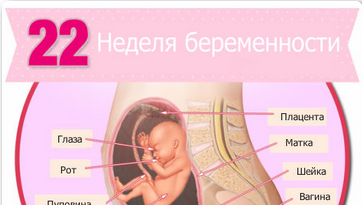 узи при беременности 22 недели