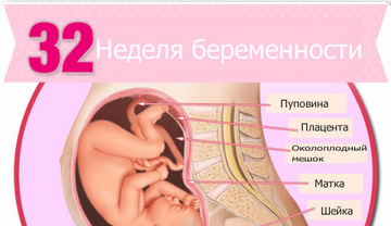 узи на 32 недели беременности