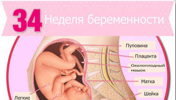 узи на 34 неделе беременности